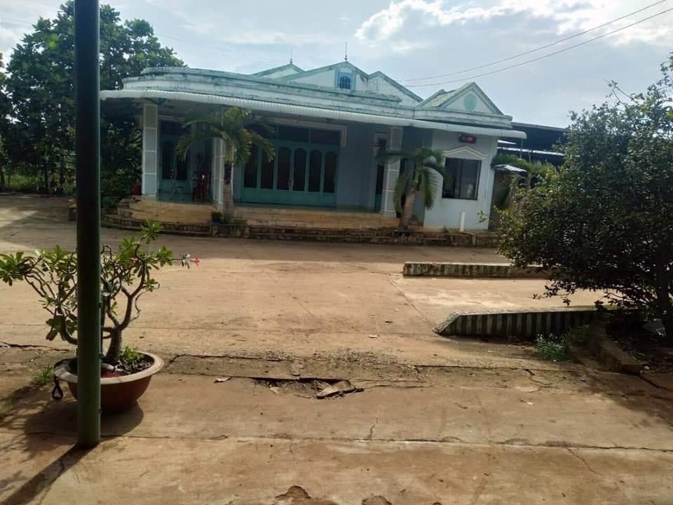 Bán nhà xưởng gổ 1,7ha 80m mt, cách qlo 50m… giá 20ti