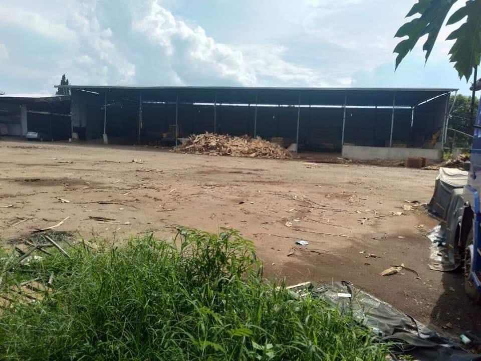 Bán nhà xưởng gổ 1,7ha 80m mt, cách qlo 50m… giá 20ti