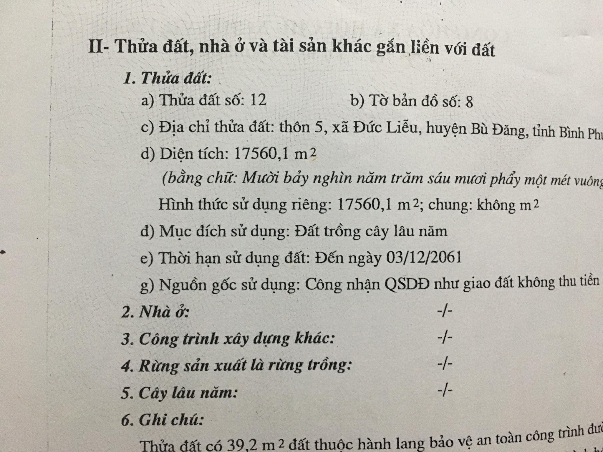 Bán 16560m2 đất trồng điều xen cà phê ấp 5 Đức Liễu giá 800tr
