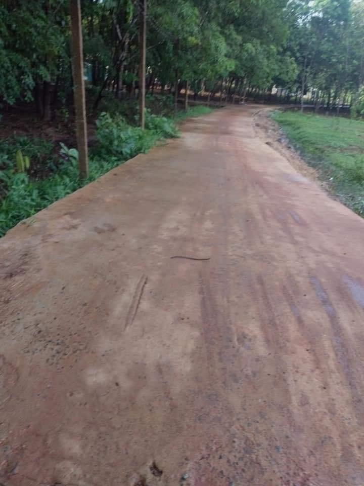 Bán 3,6. Xào cao su có 60m mt bê tông minh đức giá 450tr