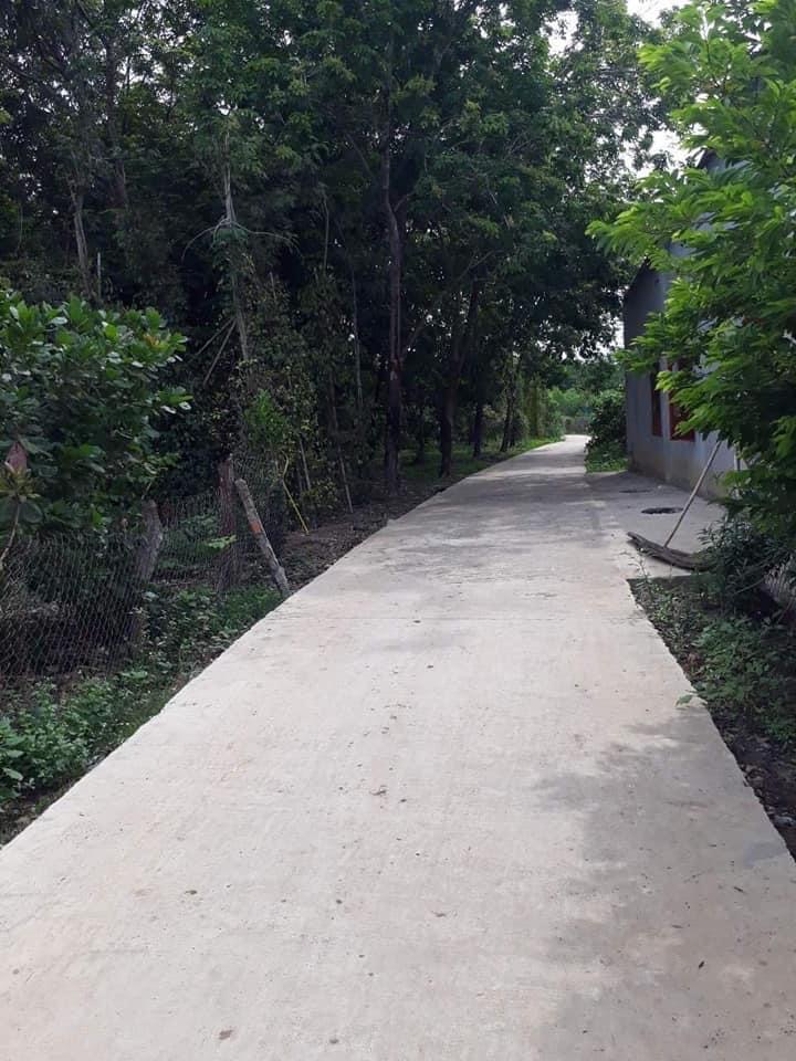 Bán 7,3 xào cao su 15m mt thanh an giá 550tr