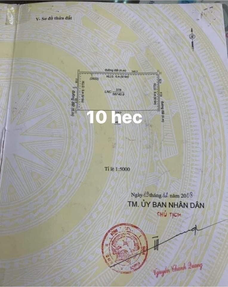10ha cao su 3mt đường giá 1,5ti/ha
