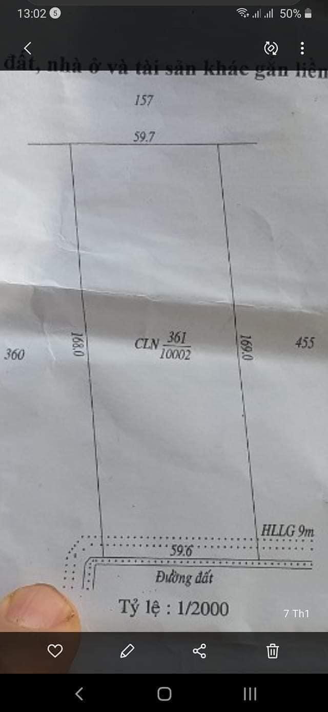Bán 1ha cao su an phú giá 1,1 tỉ