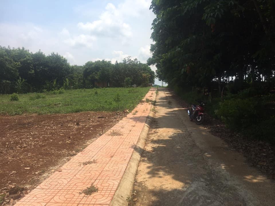 Bán đất An Lộc giá 385tr dt 5x44x50