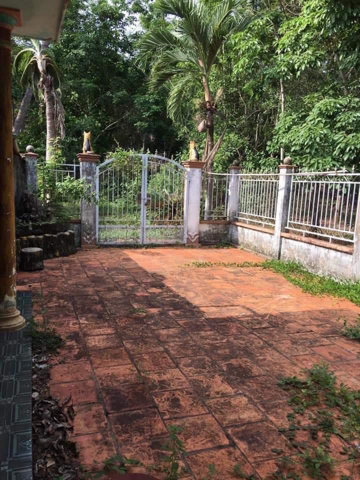 Bán 5 xào đất có sẵn nhà, cao su và 100m mt bê tông có 400tc tân hưng giá 650tr