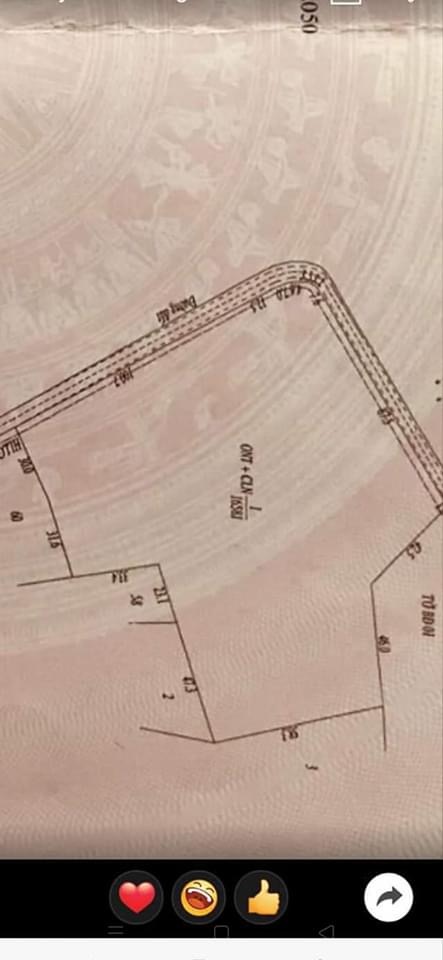 1,6ha điều minh tâm giá 2ti350tr