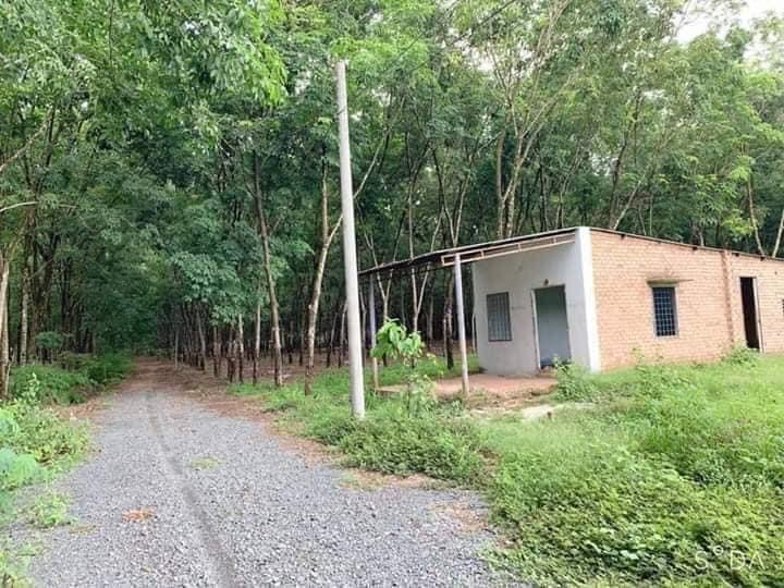 Bán đất sẵn nhà tân khai cách nhựa DT756 chỉ 500m đường đá mi.. S= 6*95 giá 350tr