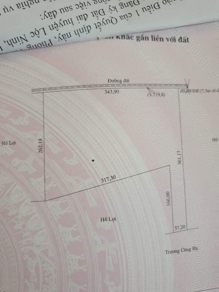 Bán 16ha cao su thanh an giá 800tr/ha