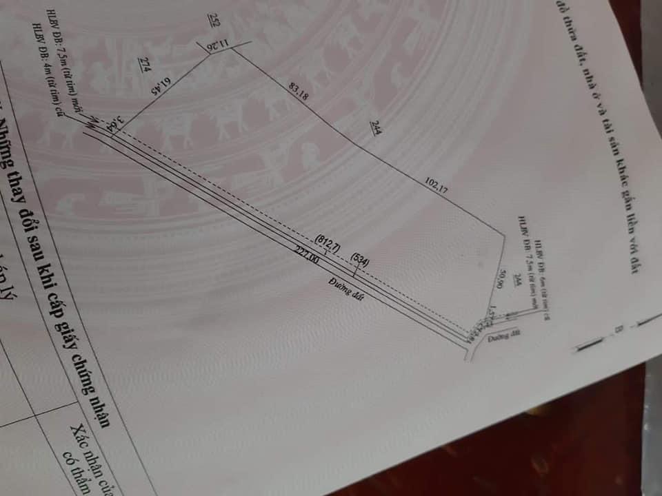 1,3ha cao su minh thắng giá 3ti250tr