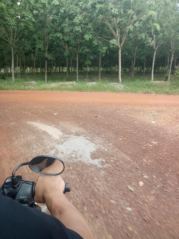 Bán 11ha cao su Đồng nơ giá 850tr/ha