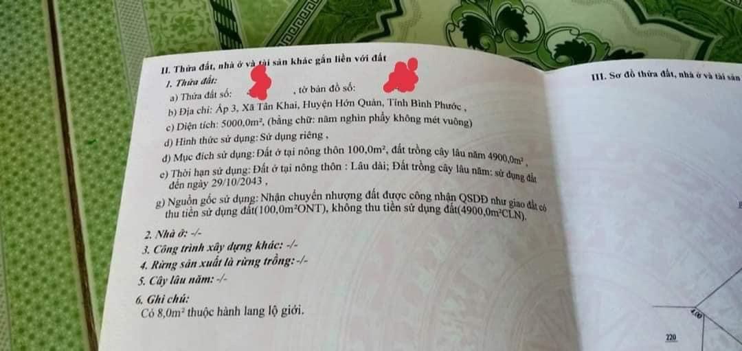 Bán 5 xào cao su có 100tc ấp 3 tân khai giá 1ti150tr