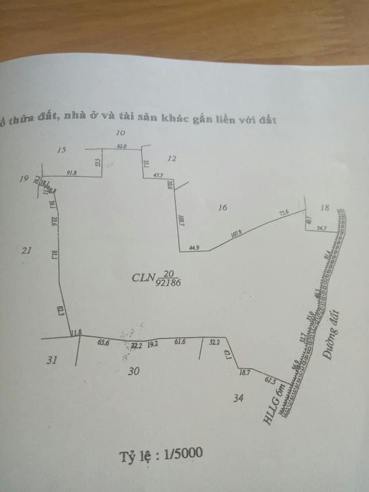 9,2ha thanh an gía 750tr 1 héc