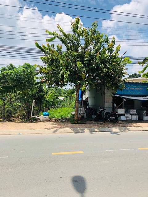 Bán đất phường Bình Nhâm- thị xã Thuận An-BD giá 3ty750tr dt 4×35 60m tc