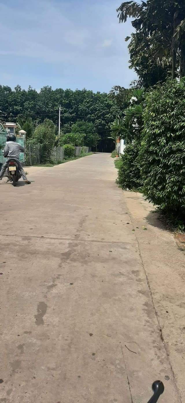 Bán nhà minh hưng giá 1tỷ300 dt 5×50×100tc
