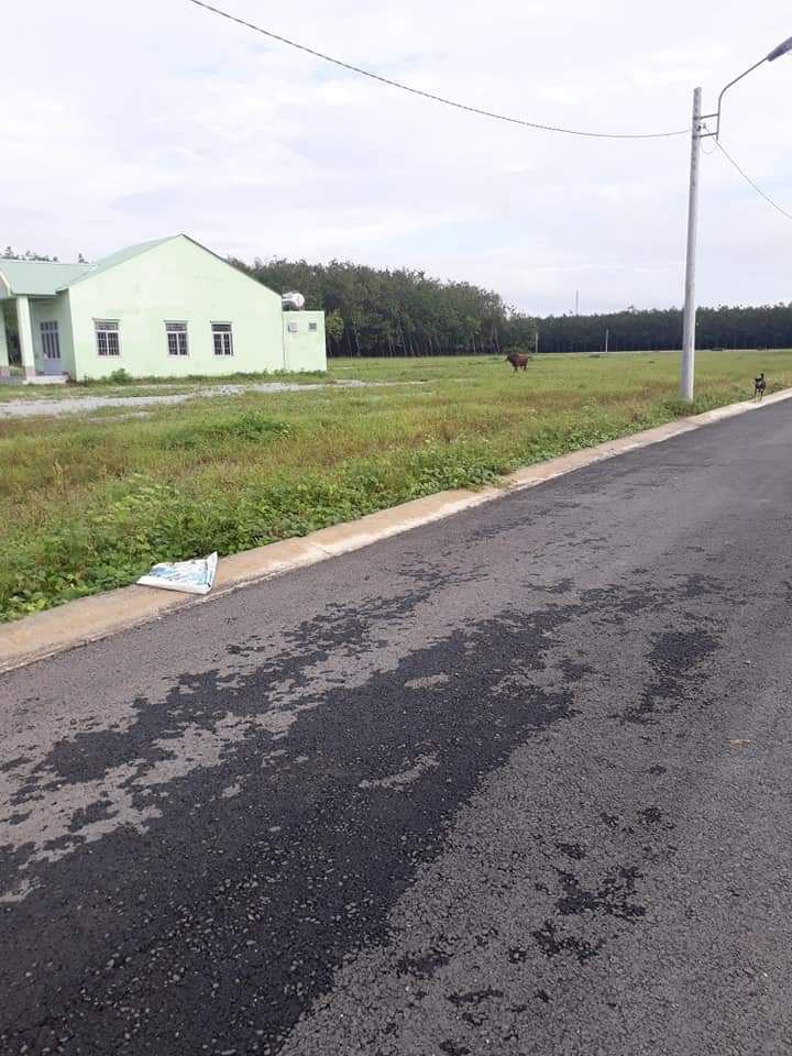Bán đất  becamex huyện chơn thành giá 450tr dt 5×40