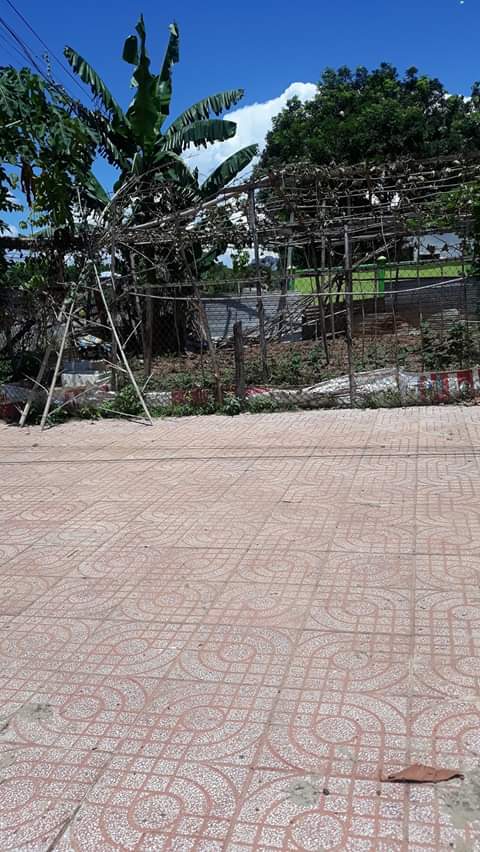 Bán đất phường tân đồng-tp đồng xoài giá 1ty500tr dt 5×25 tc 100%