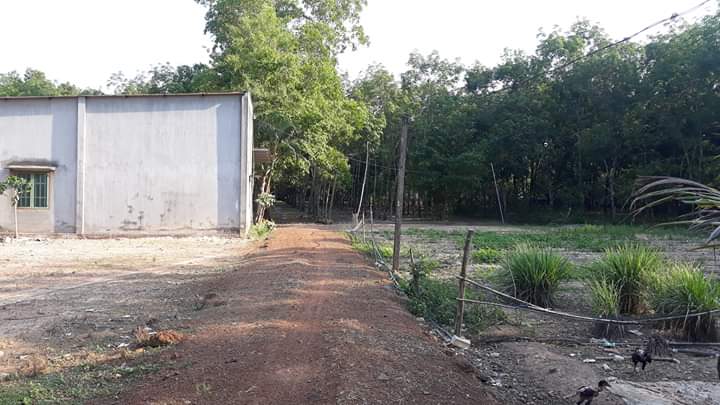 Bán nhà xã thuận phú huyện đồng phú giá 250tr dt 6×20 100tc