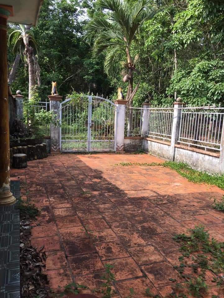 căn nhà và 5,4 sào cao su và cây ăn trái ở Tân Hưng, đất có 300 tc giá 650tr