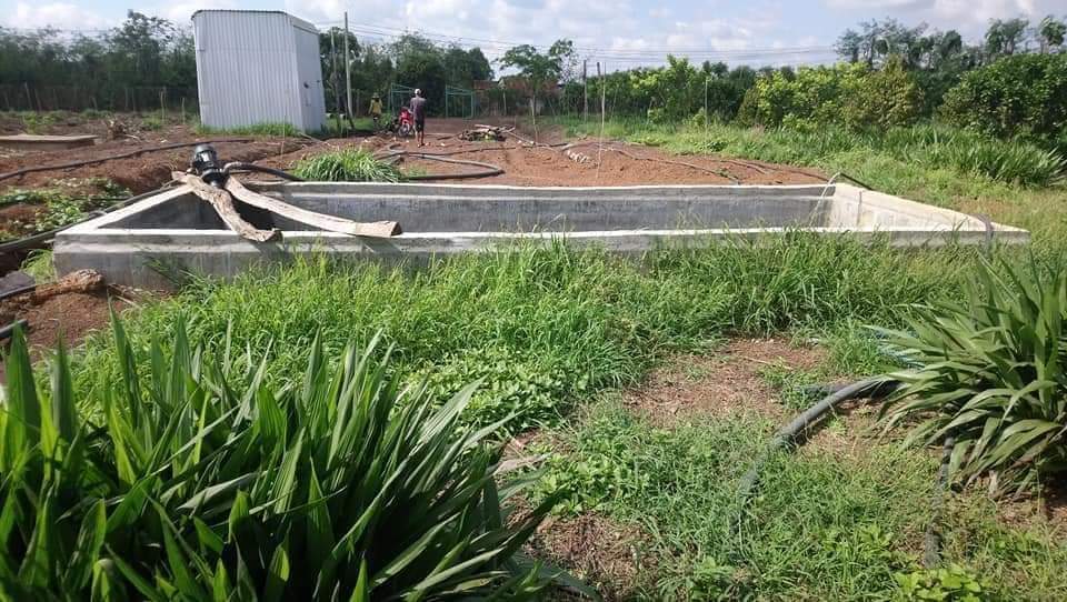 Đất gần ngã 3 trung tâm, đông người ở, đường chuẩn bị lên nhựa. Trên đất trồng sầu riêng, bởi da xanh, có nhà cửa, điện nước tưới đầy đủ.
