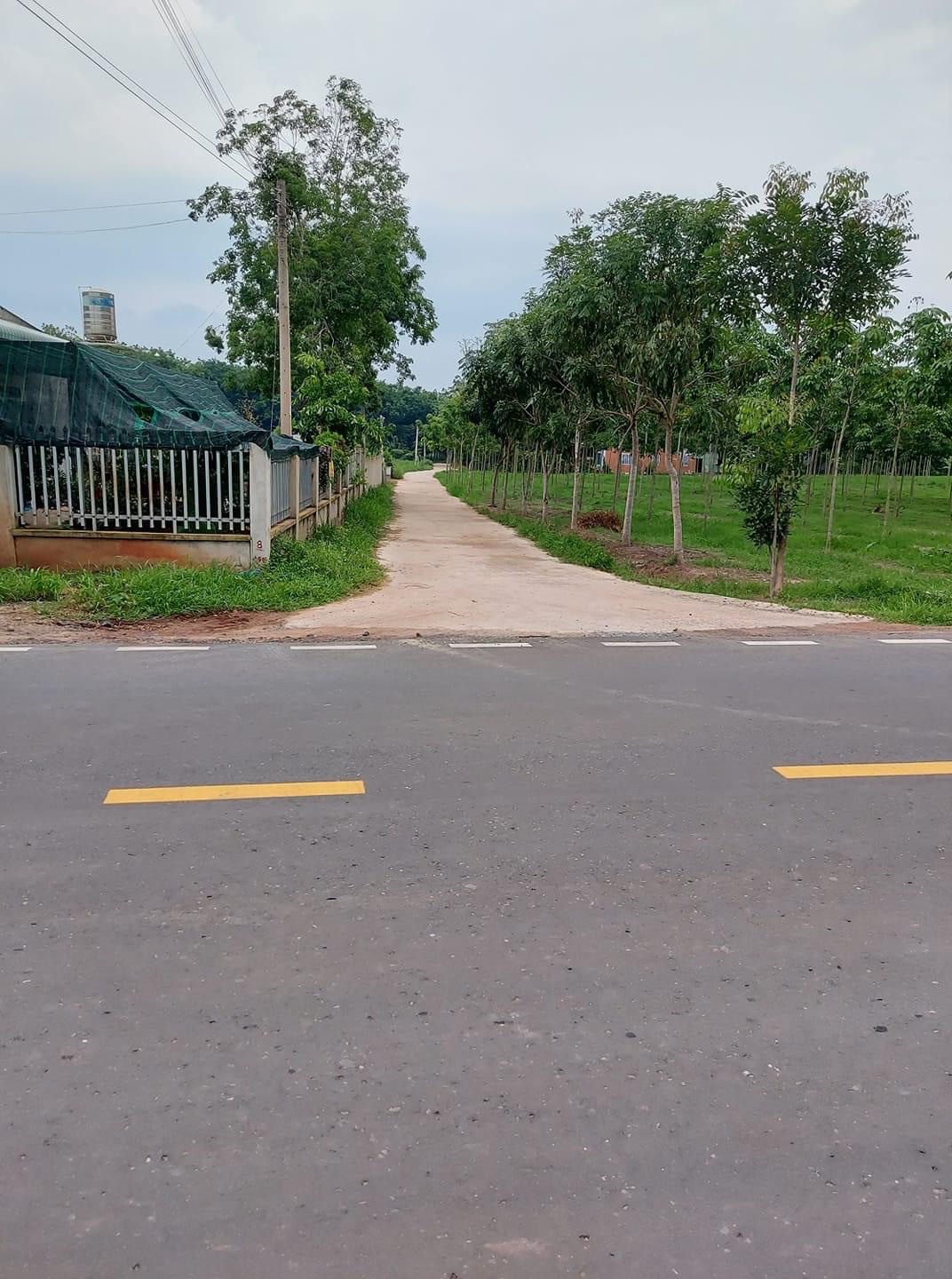 Bán đất cách nhựa dt 756 khoảng 200m khu phố 3 tt Tân khai 10×50 có 50tc giá 770tr