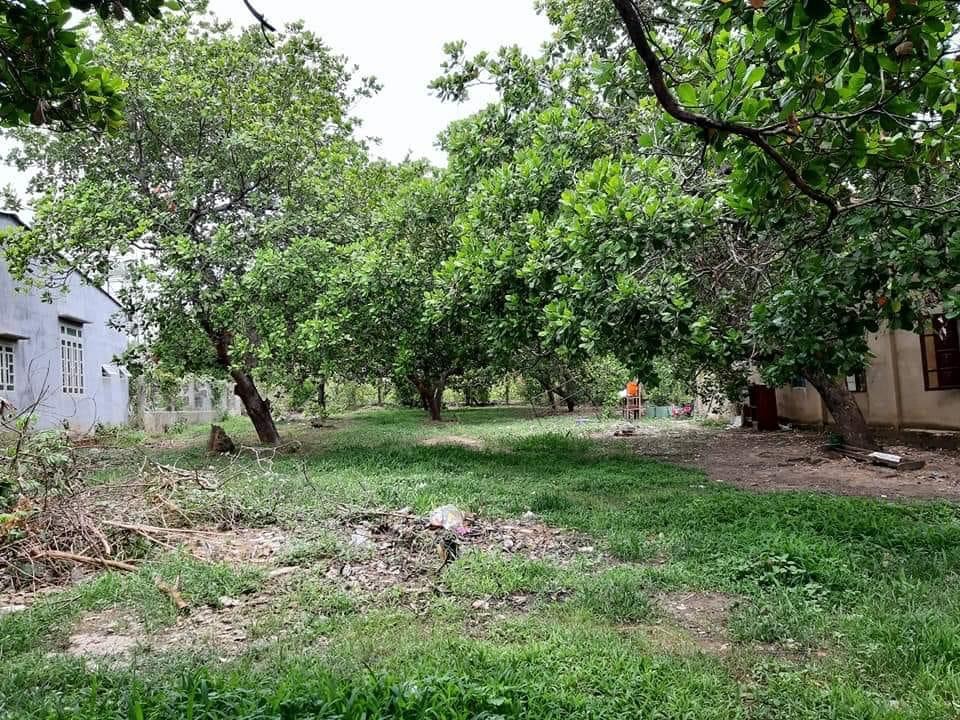 Đường tổ 33- TT. Tân Phú – Huyện Đồng Phú. Cách ĐT 741, 100m.