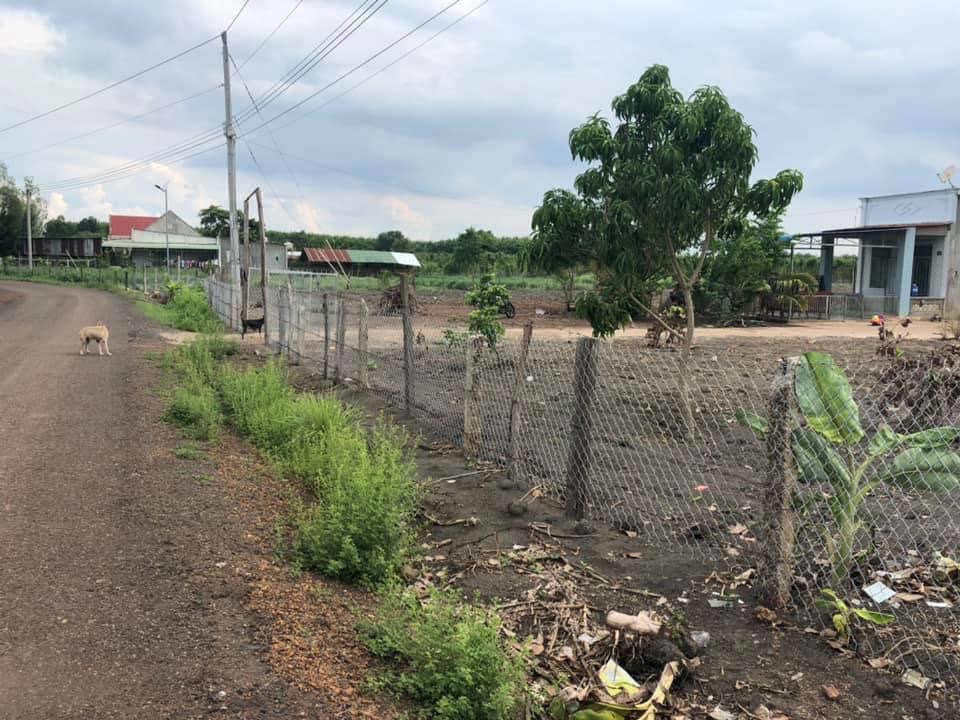 2,3ha đất 100tc có nhà sẵn  bù đốp