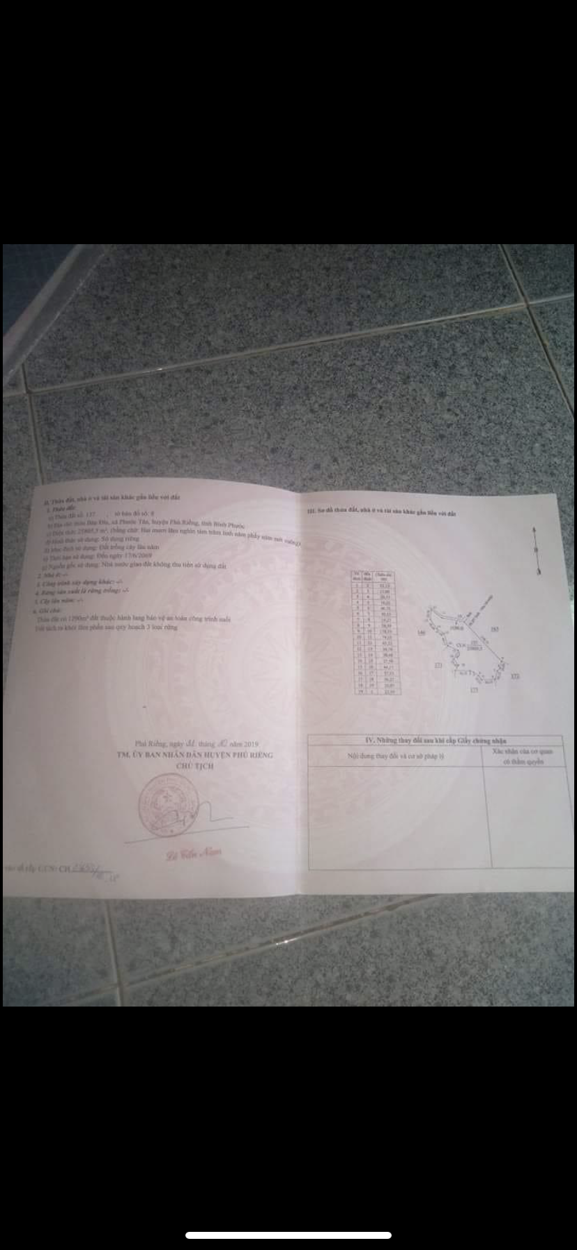 Phú riềng Cần bán 2héc6 điều  thuộc xã phước tân ,sổ sách đầy đủ  giá 1tỷ
