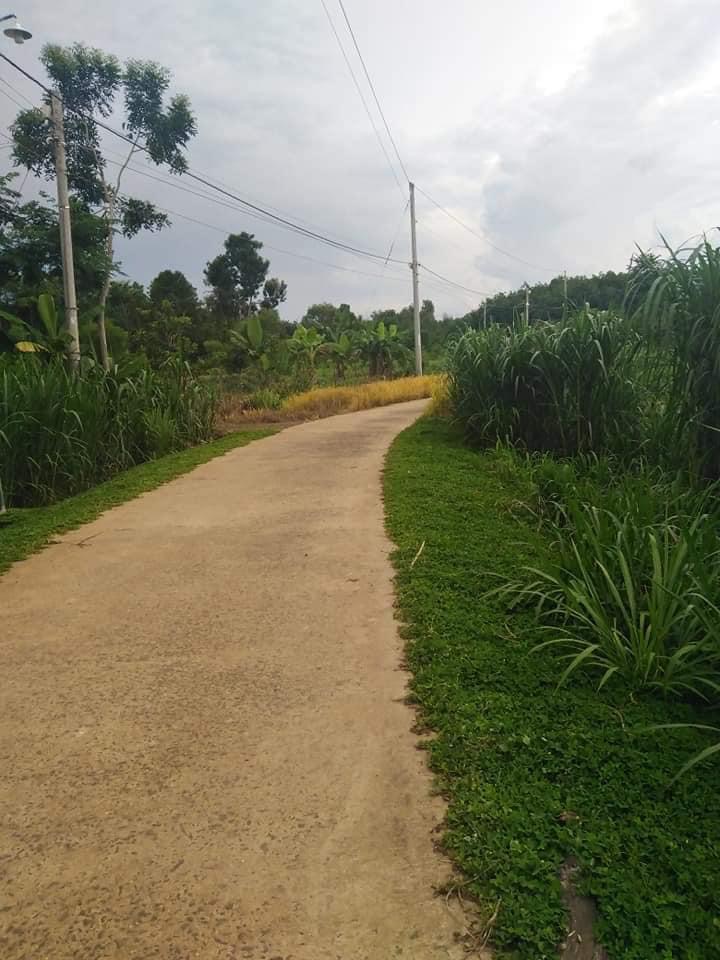 Bán đất Thanh Lương giá 1ty1 dt 7xào1
