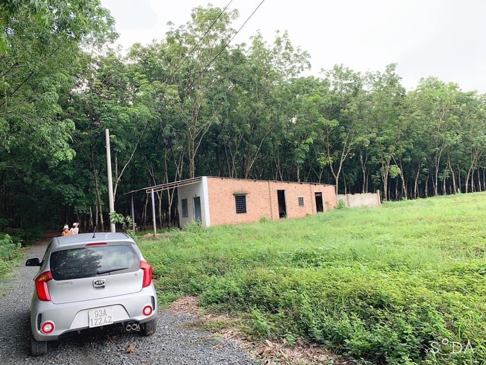 Bán đất kp 3 Tân Khai giá 295tr dt 6×91
