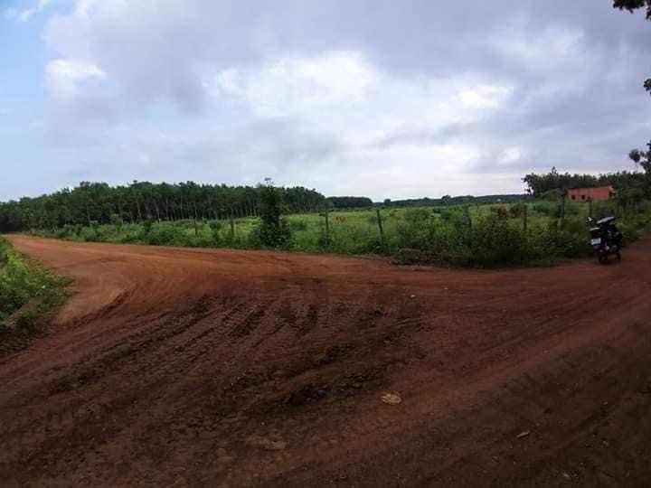 Cách xã Lộc khánh 1km. _ Cách trường học cấp 2 800m.