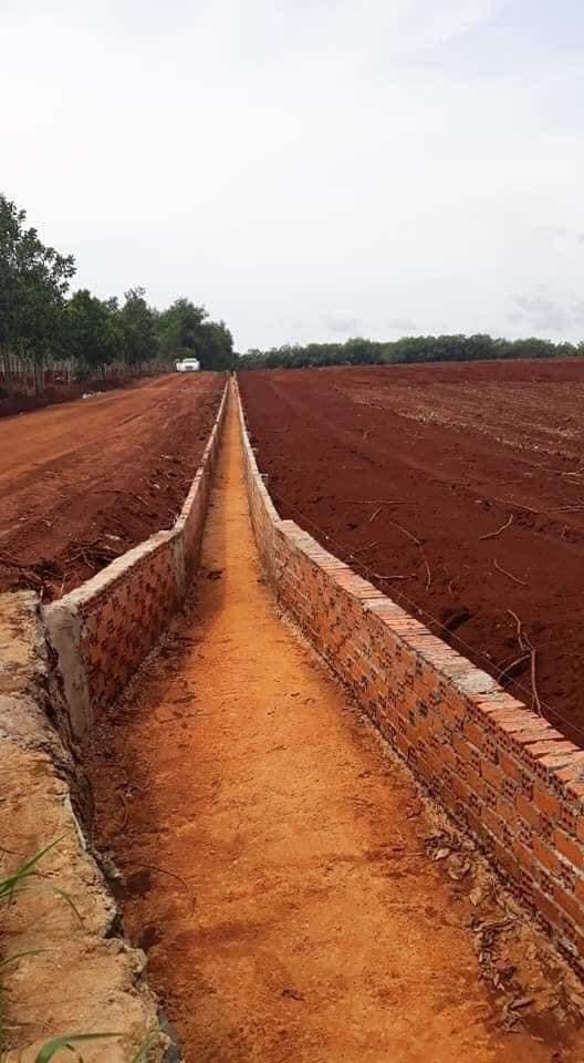 Bán đất ấp Phú Miêng xã Tân Lợi giá 240tr dt 10×96
