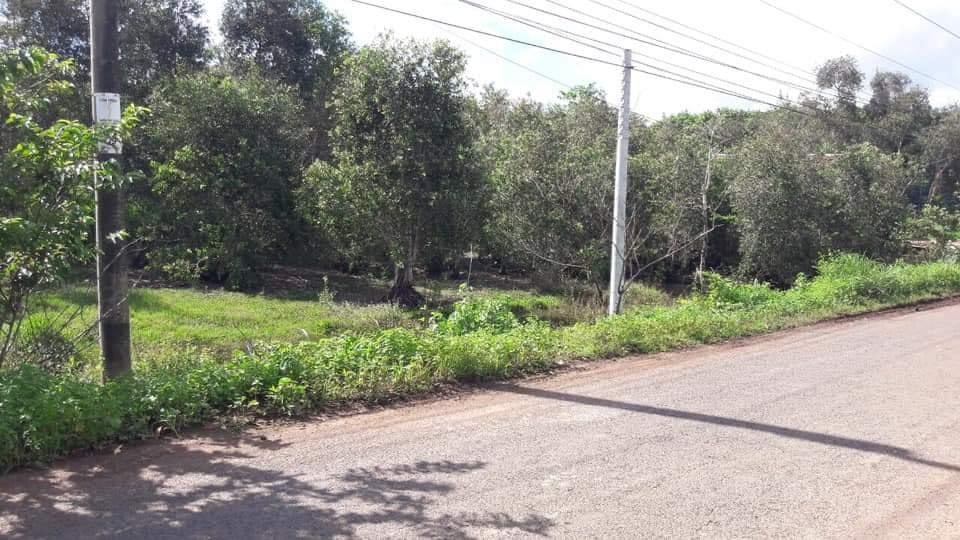Thiện Hưng bù đốp 1600 nọc tiêu có 60m đườn nhựa giá 900tr