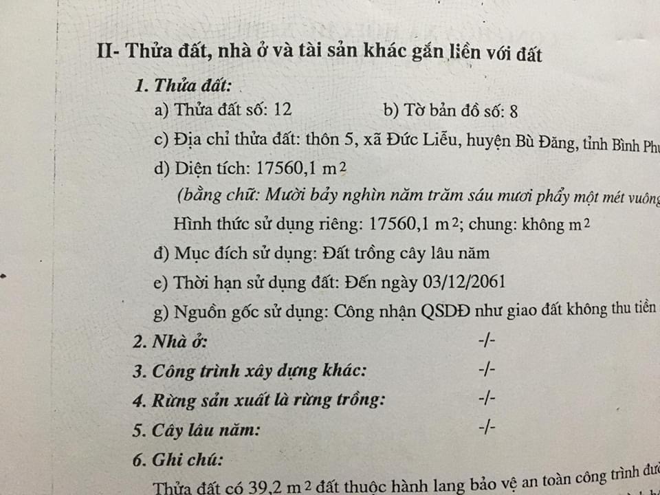 Bán 1,7ha điều xen kpe đức liễu giá 800tr