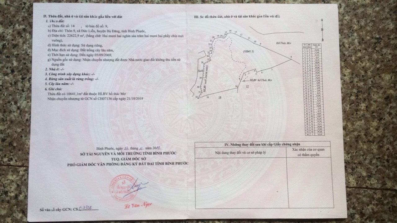 Bán 2,6 ha điều đức liễu giá 1,1ti
