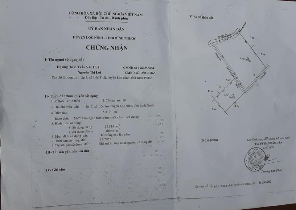1,5ha sât đập nước Lộc An đã phân 15 lô giá 2,5 tỉ