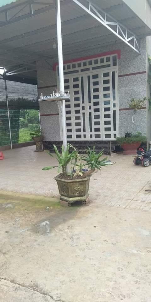 Nhà Tân lập 10*24*100tc giá 1 tỉ