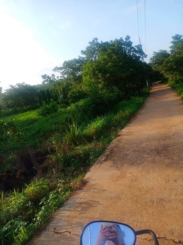 9,5 xào đất cây ăn trái 400tc và 250m mt Lộc điền