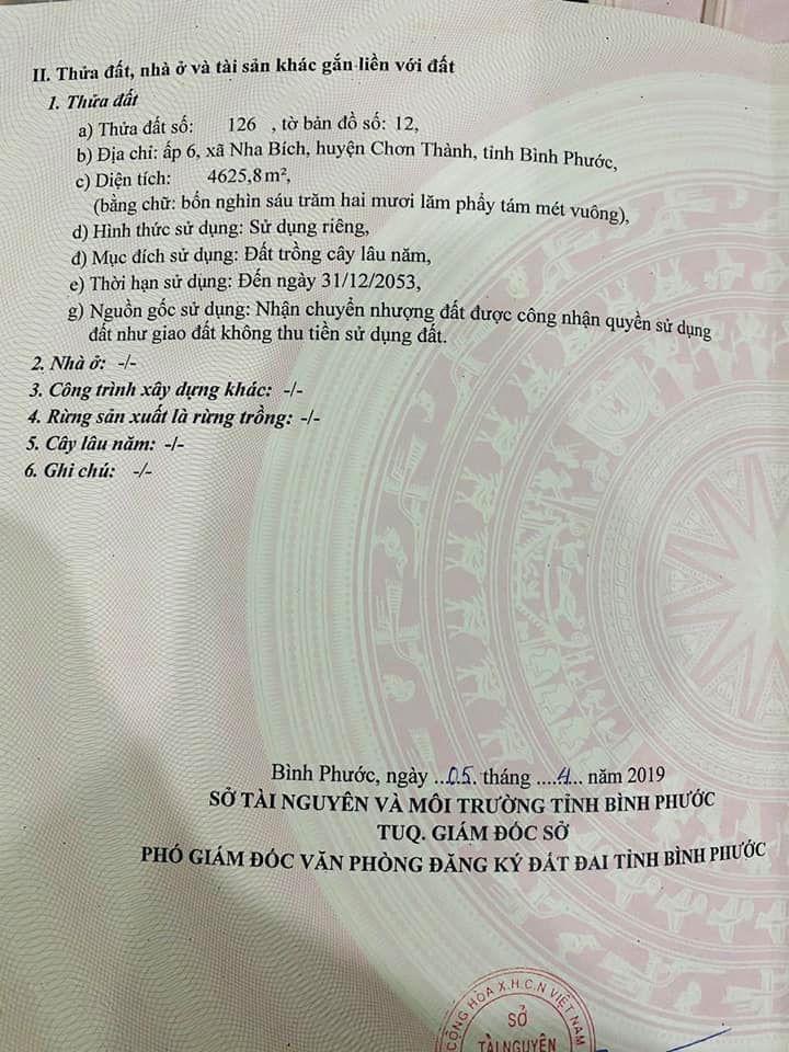 Con 1hec5 dat mat nuoc dap phuoc hoa bao quanh.
