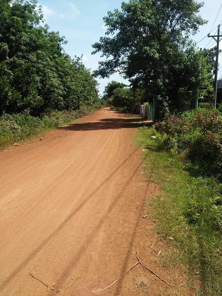 4,3ha cao su lộc hoà có nhà giá 3,4ti
