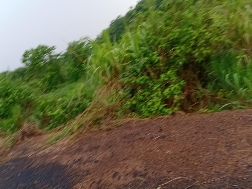 5,7ha đất trống tân tiến bù đốp giá 300tr/ha
