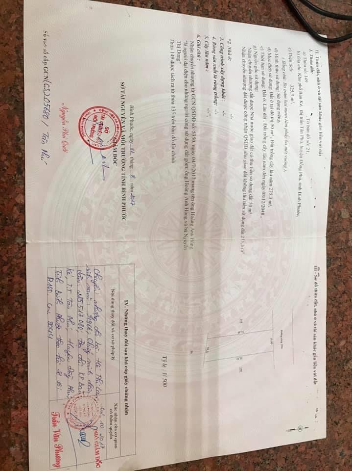E có 1 lô Bắc đồng phú B. 10*31*100tc.