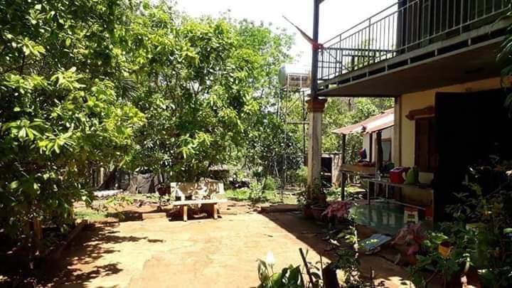 khu vực chợ Bù Đốp Thiện Hưng Bình Phước giá 480tr