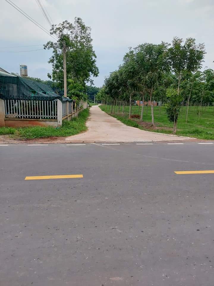 Bán dat cách đường nhựa dt756 khoảng 200m mặt tien đường bê tông  khu phố 3 tt Tân khai 10×50 có 50tc giá 770tr