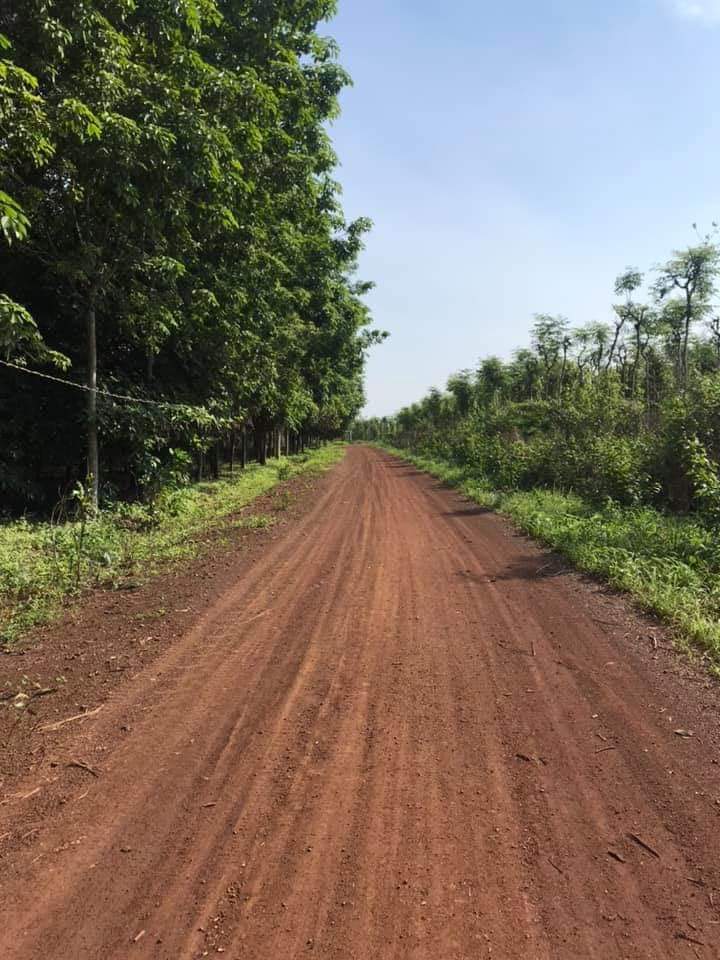 1 căn nhà cấp 4 nhỏ xinh và 8 xào đất. Cách chợ Lộc Quang 3km