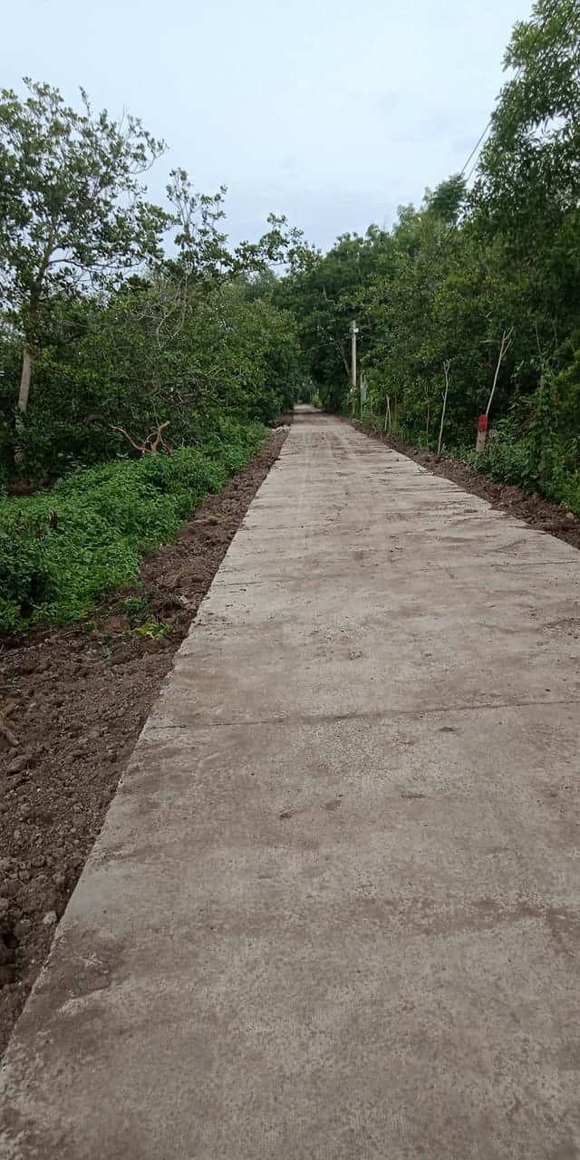 Sau Nguyễn ân Thi trấn tân khai  giá  530tr dt 5×50×50tc