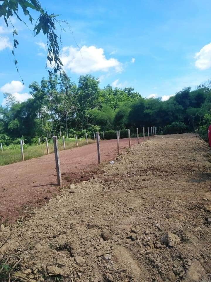 Bán đất thanh phú bl giá  390tr dt 6×30×100tc