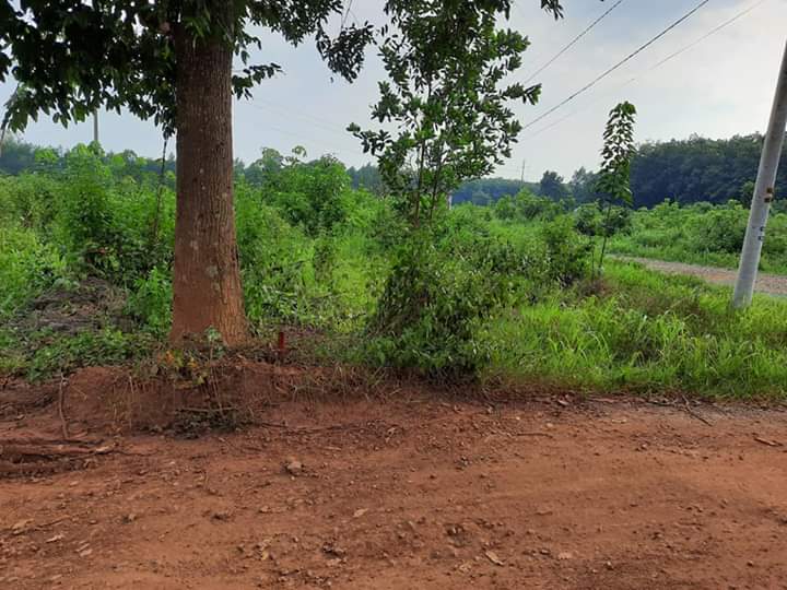 Vanh dai hon quan binh phuoc, 10x50x50tc re nhat khu vuc chi 950trieu,
