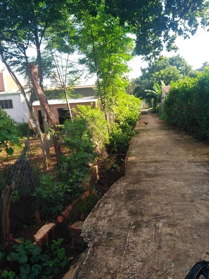 Bán đất Thanh Phú giá 350tr dt 5x40x100tc