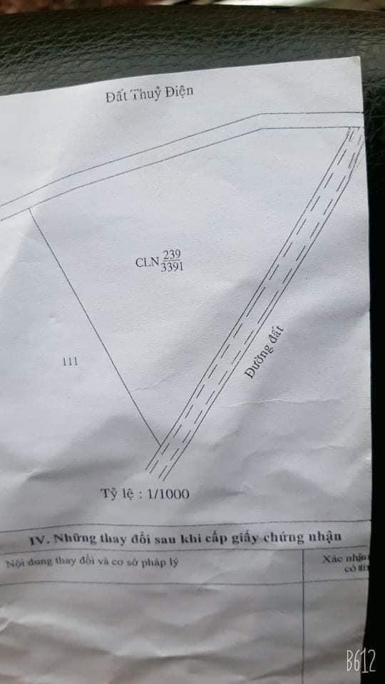 Bán đất ThanH An (có caosu) giá 300tr dt 3,4xào