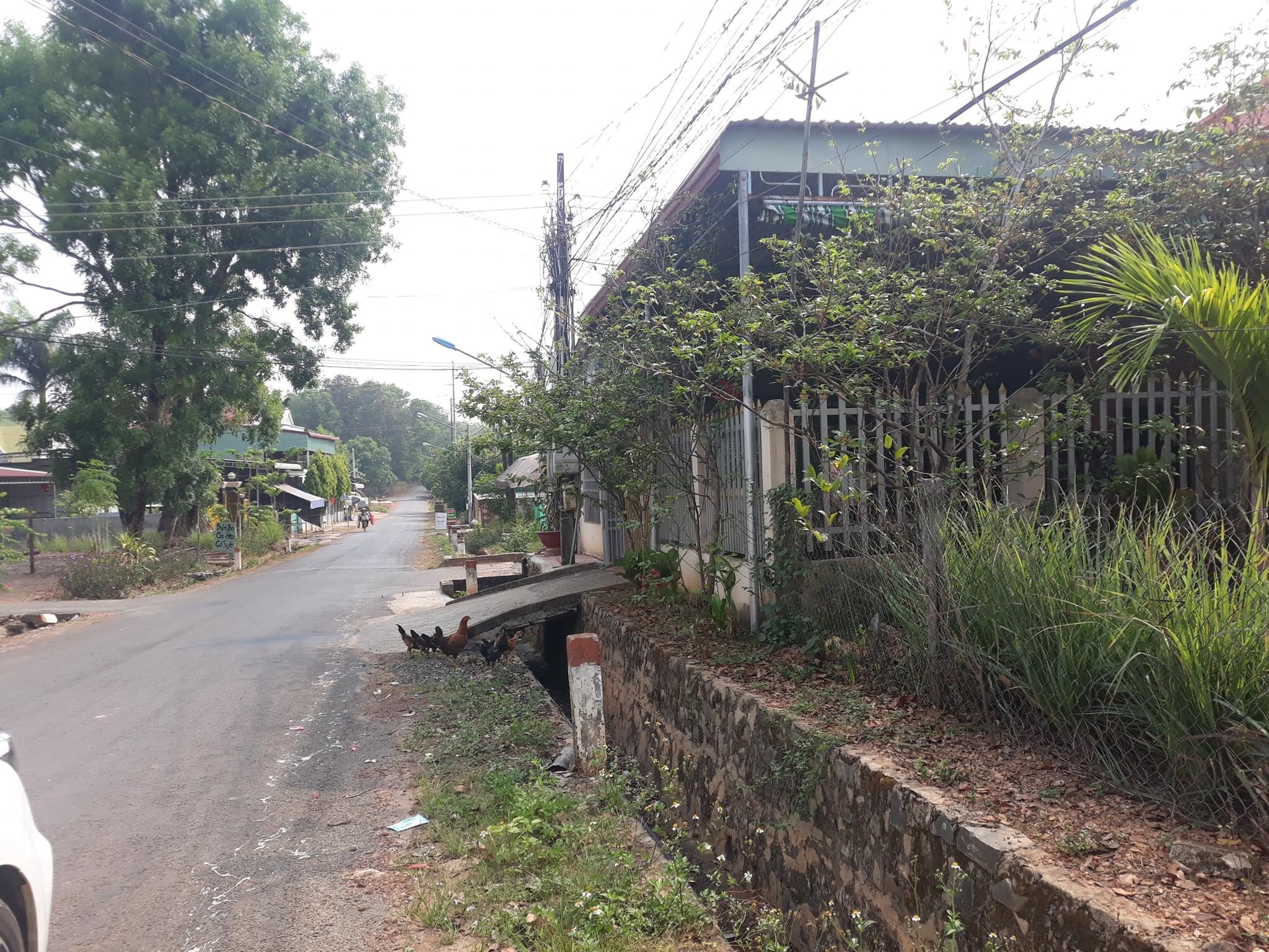 Bán đất phường Tân Đồng giá 670tr Dt 5 ×28 ×50tc